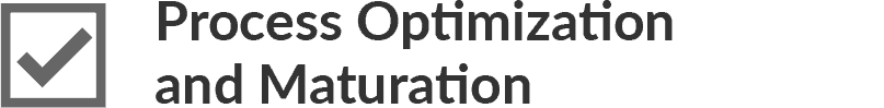 process optimization and maturation